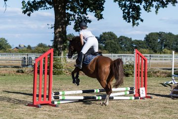 Bild 76 - Pony Akademie Turnier